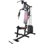 هوم جيم منزلي الأصلي