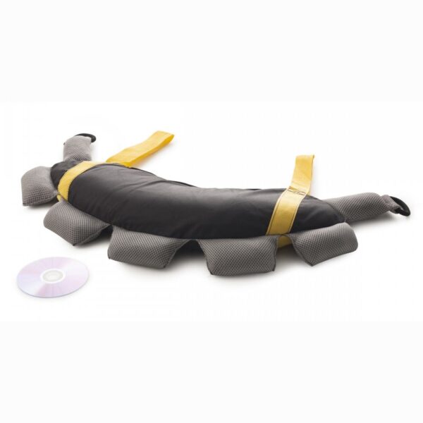 power pack max ProForm
