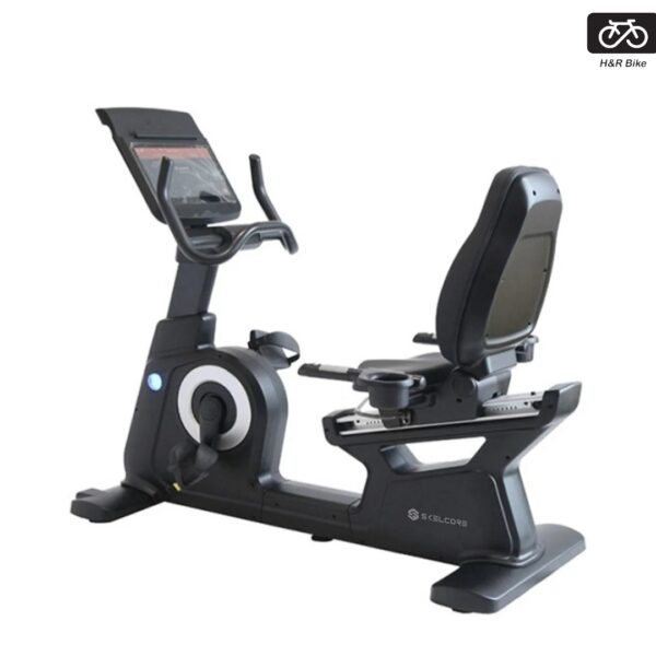Commercial Recumbent Bike