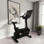 سبين بايك امريكي