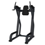 Vertical Knee Up/Dip-F47