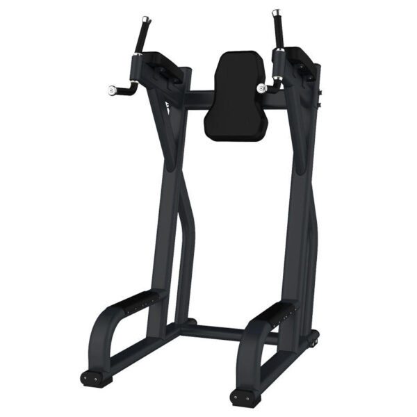 Vertical Knee Up/Dip-F47