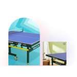 طاولة تنس Double Fish أصلي